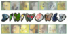 100 x 50 Pixel