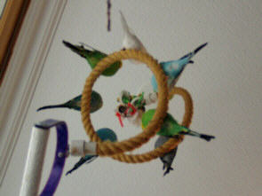 Hintern *grinz*