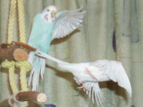Abflug 